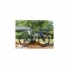 Vélo De Course Trek - 52 - 700c -VTT électrique semi-rigide Soldes Magasin trek domane sl 5