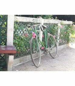 Vélo De Course Autre Marque - 54