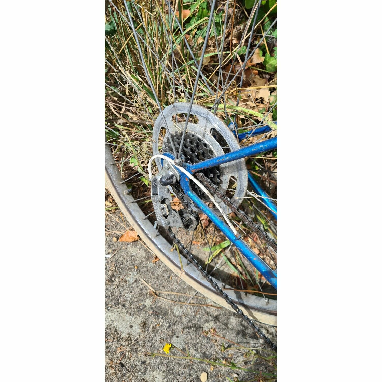 Vélo Urbain Raleigh 5 Vélo Urbain Raleigh – Image 3