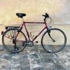 Vélo Tout Chemins Batavus -VTT électrique semi-rigide Soldes Magasin velo vtc batavus occasion reconditionne 5